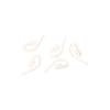 Plastic Pin Hook (Hook Type 1) – 1000 pc/bag-WHT